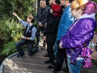 Melbourne Museum: Guided Highlights Tour, Мельбурн