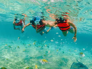 Xcaret Park: Entry Ticket, Xcaret Park, Akumal