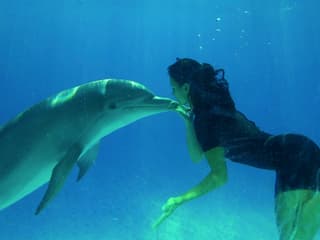 Zoomarine Roma: Reserved Entrance with Dolphins Experience