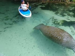 Miami: Nature & Island Exploration on SUP/Kayak
