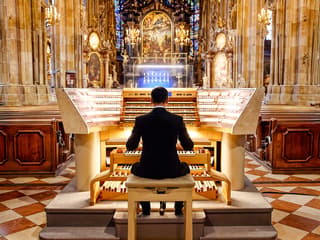 St. Stephen's Cathedral: Giant Organ Concerts Ticket — gallery 1