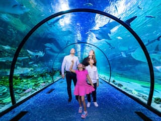 National Aquarium Abu Dhabi All Access Pass Tickets — gallery 2