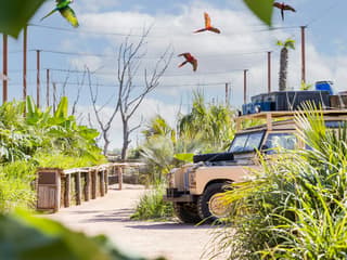 Parrot World: Annual Pass