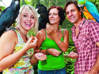 Birdworld Kuranda: Entry Ticket