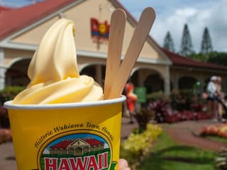 Waimea Valley: Guided Waterfall Hike & Swim Tour from Waikiki — gallery 2