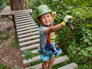 Treetops Adventure: Belgrave Park — gallery 1