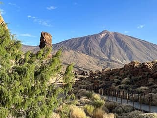 Teide National Park, Icod de los Vinos, Garachico & Masca: Guided Tour — gallery 1