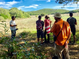 Half-Day Hiking at Arrábida Natural Park — gallery 3