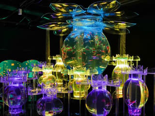 Art Aquarium Museum Ginza Tickets — gallery 2