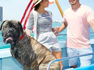 Chicago: Canine Cruise — gallery 2