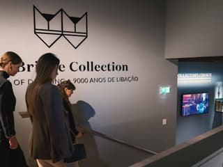 WOW Porto: The Art of Drinking Entry Ticket — gallery 3