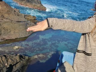 Madeira: Tour delle piscine vulcaniche e foresta in jeep 4X4, Funchal