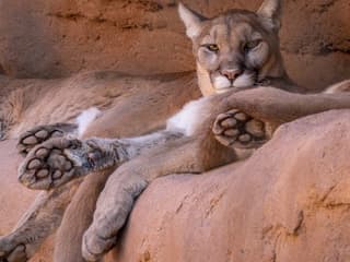 Phoenix Zoo: Entry Ticket — gallery 1