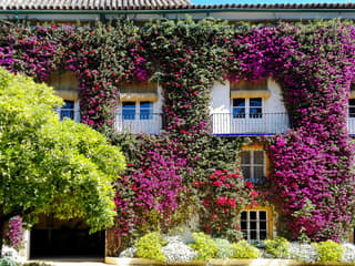 Tickets to Palacio de las Dueñas with Audio Guide — gallery 3