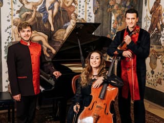 Sala Terrena: Vienna Mozart Ensemble Concert at Mozart's Work Place — gallery 2