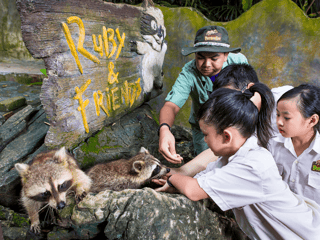 Sunway Lost World Hot Springs & Night Park Tickets — gallery 2