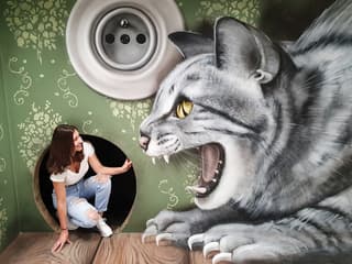 Museum of Fantastic Illusions Skip-the-Line Tickets — gallery 3