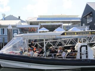 Mooloolaba: Guided Speedboat Tour — gallery 1