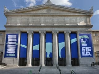 Chicago Top 3 Attractions Pass, 시카고