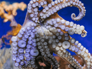 Barcelona Aquarium: Flexi-Ticket — gallery 3