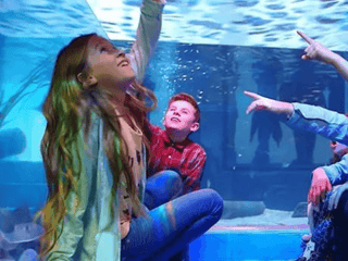 SeaQuest Las Vegas — gallery 1