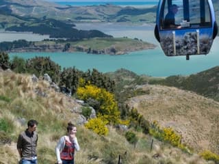 Christchurch Gondola: Entry Ticket — gallery 1