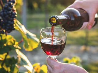 Chianti Region Guided Tour with Local Tastings and Vineyards — gallery 1
