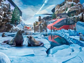 SeaWorld Abu Dhabi Tickets — gallery 3