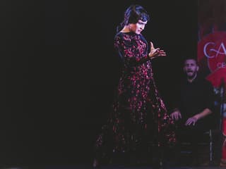 Casa Ana Flamenco Show — gallery 3