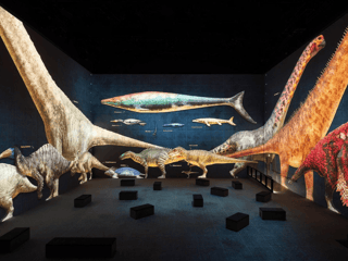 Prehistoric Planet: Discovering Dinosaurs — gallery 1