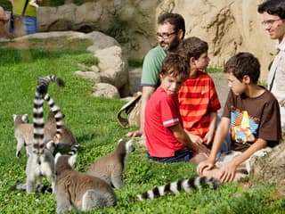 Bioparc Valencia Tickets — gallery 2
