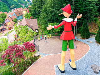 Nami Island Highlights Day Tour with Petite France & Italian Village — gallery 2