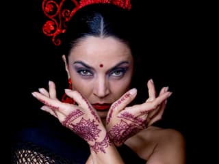 Sensaciones - Teatro Flamenco Granada — gallery 2