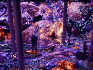 ARTECHOUSE: Beyond the Light — gallery 1