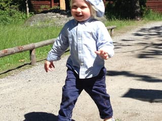 Skansen: Open-Air Museum and Nordic Zoo — gallery 2