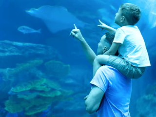 Dubai Aquarium & Underwater Zoo: Gold Pass — gallery 3