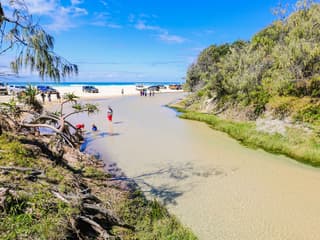 From Hervey Bay: K'gari (Fraser Island) 1-Day Classic Coach Tour with Lunch — gallery 1