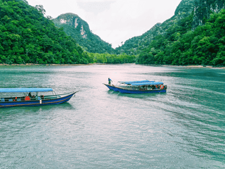 Langkawi Mangrove Tour — gallery 1