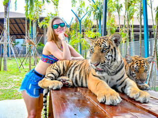 Tiger Park Tickets with Tiger Play Packages — gallery 2