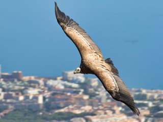 Benalmadena Cable Car Tickets — gallery 2