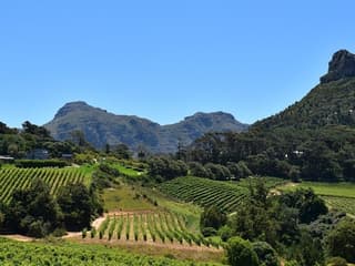 Cape Town: Cape Peninsula & Boulders Beach Tour — gallery 2