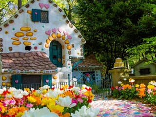 Efteling: Indgangsbillet, Efteling, Kaatsheuvel