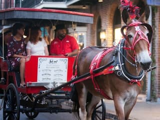 French Quarter Ghost Tour by Mule Drawn Carriage — gallery 1