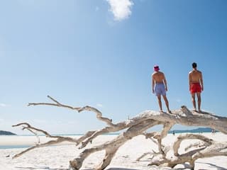 Whitehaven Beach: Cruise from Airlie Beach + Hill Inlet Guided Tour + BBQ — gallery 3