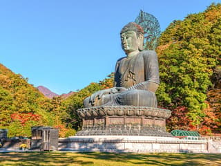 Nami Island & Mount Seorak Day Tour — gallery 2