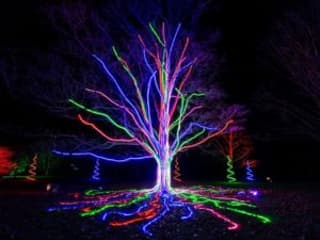 Lightscape Brooklyn — gallery 2