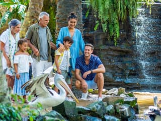 Bali Bird Park Tickets + Optional Lunch with Bird Stars — gallery 3