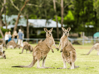 Full-Day Guided Tour of Grampians National Park with Hotel Transfers — gallery 3