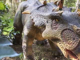 Dinopark Antalya: Entry Ticket — gallery 1