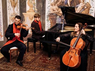 Sala Terrena: Vienna Mozart Ensemble Concert at Mozart's Work Place — gallery 1